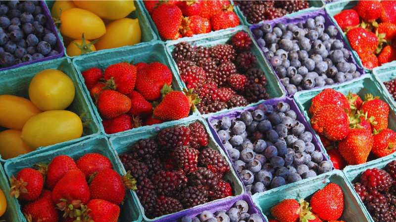 South Carolina Events